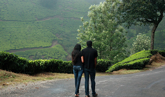 Kerala Honeymoon Tour